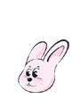 �캰 �����ߺ��°�